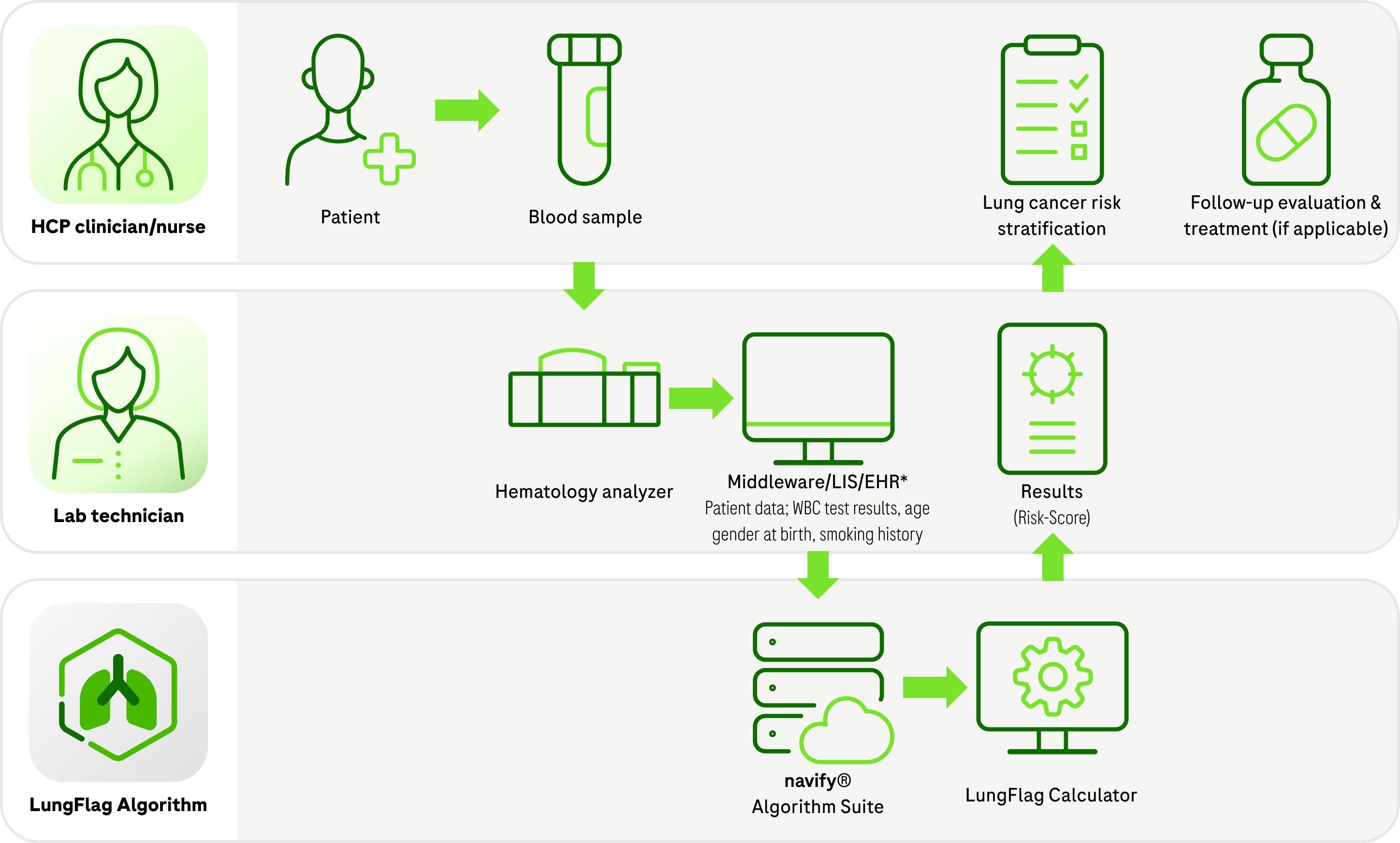 "A medical flowchart showing the LungFlag Algorithm process from blood sample to lung cancer risk stratification.