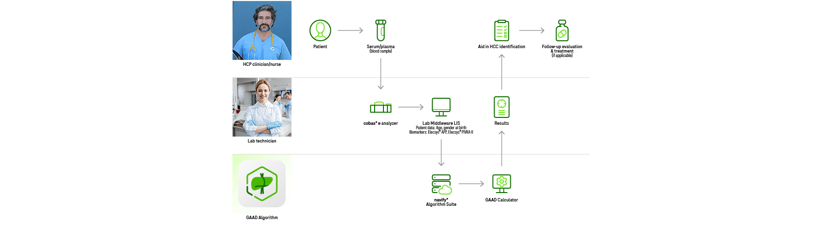 Flussdiagramm der Integration durch den navify Algorithm Hub verbindet Patienten, medizinische Fachkräfte und Laborsysteme.