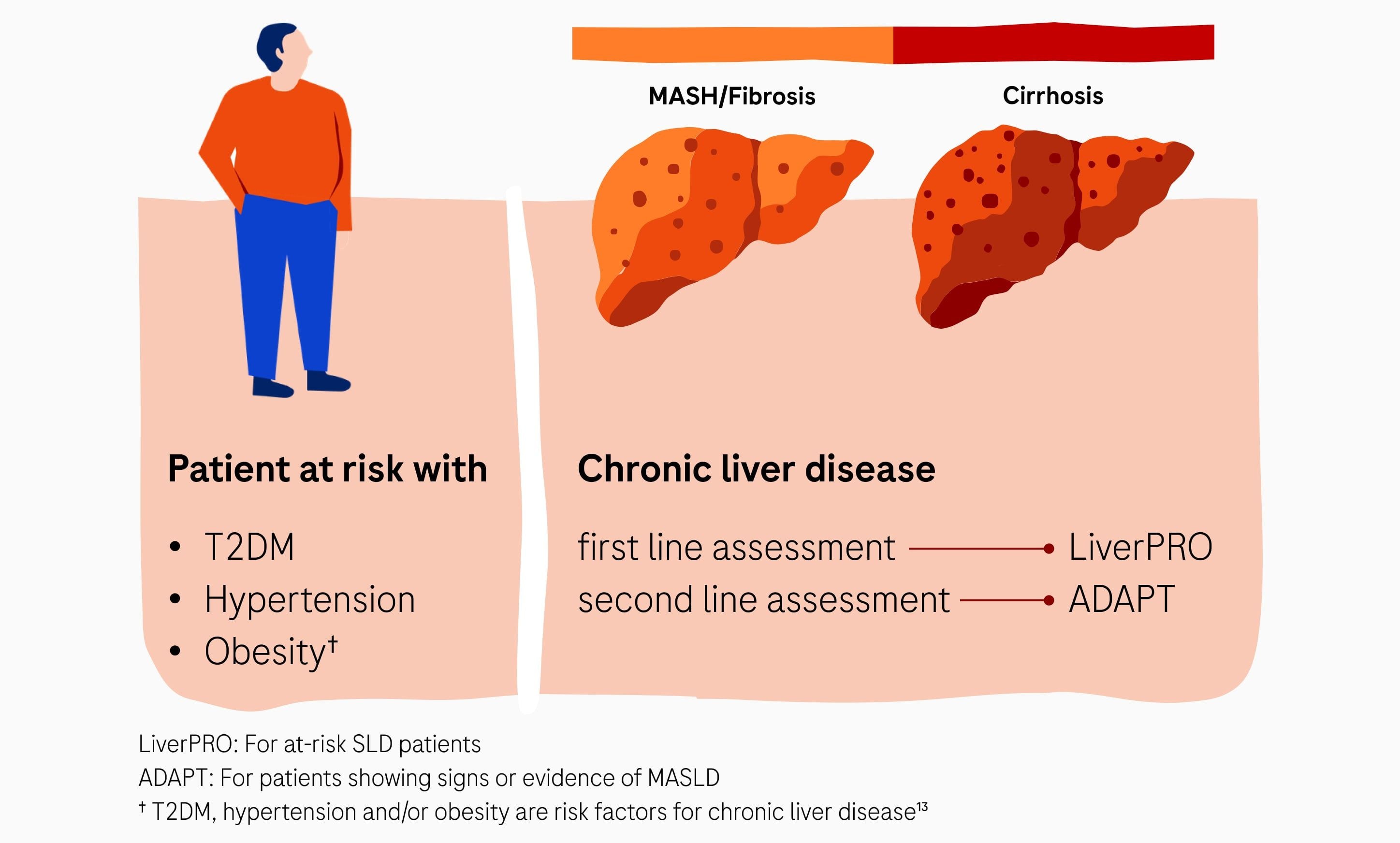 An infographic illustrating that patients with type 2 diabetes, hypertension, or obesity are at risk for chronic liver disease and outlining a screening process.